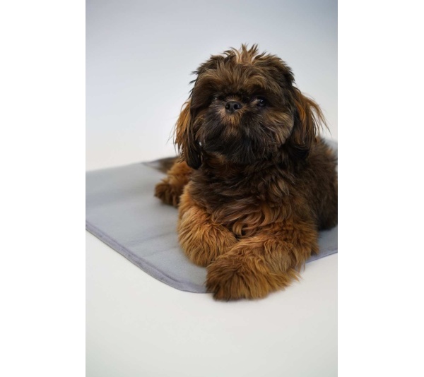 Thera-Pawz Warming Pad - Small