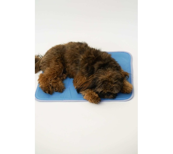 Cool Pet Pad - Large