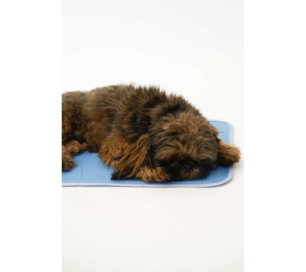 Cool Pet Pad - Medium
