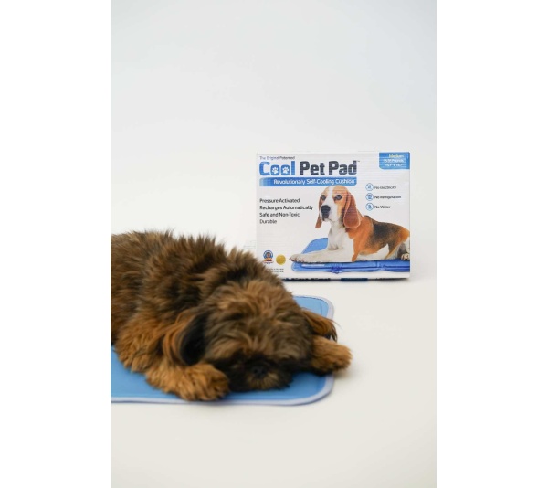 Cool Pet Pad - Medium