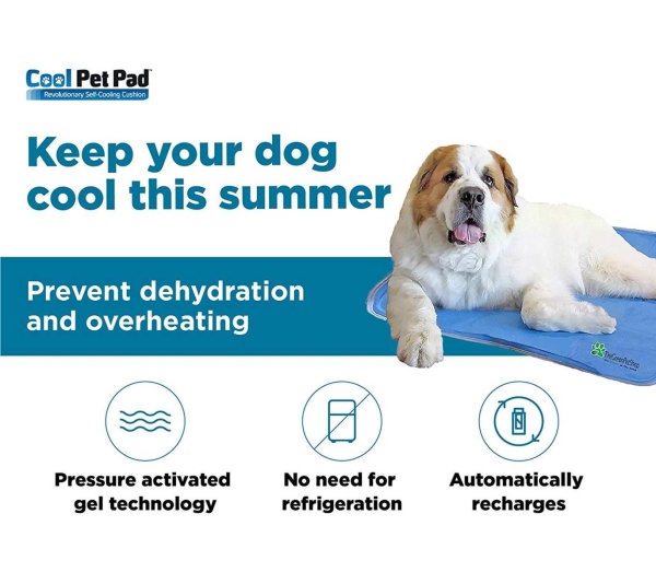 Cool Pet Pad - XL