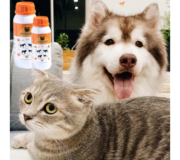 Lime Sulfur Dip - Pet and Veterinary Solution for Dermatitis, Mange, Ringworm and other Parasites - 16 fl oz