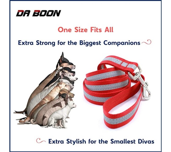 Blue - Da Boon Original Double-Sided Reflective Leash