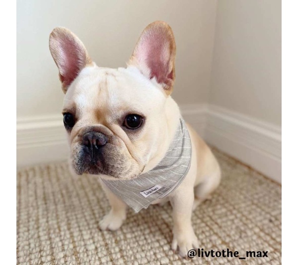 Grey - Classic Everyday Bandana - Small