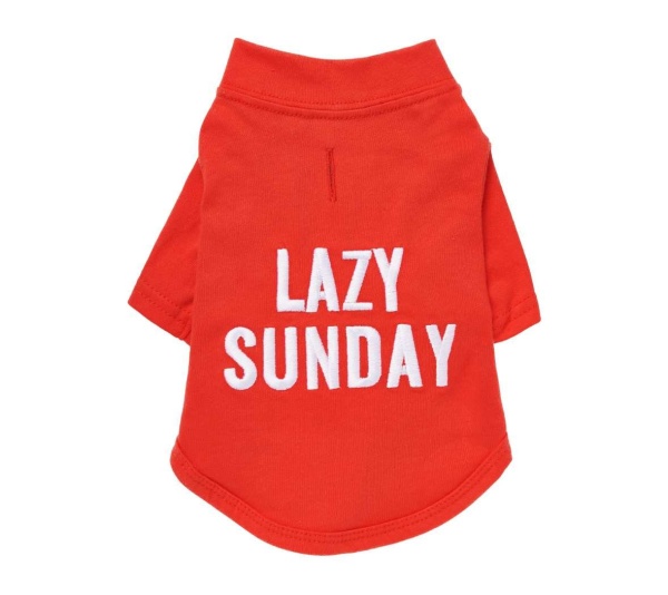 Candy Apple - The Essential T-Shirt - LAZY SUNDAY - XX Large