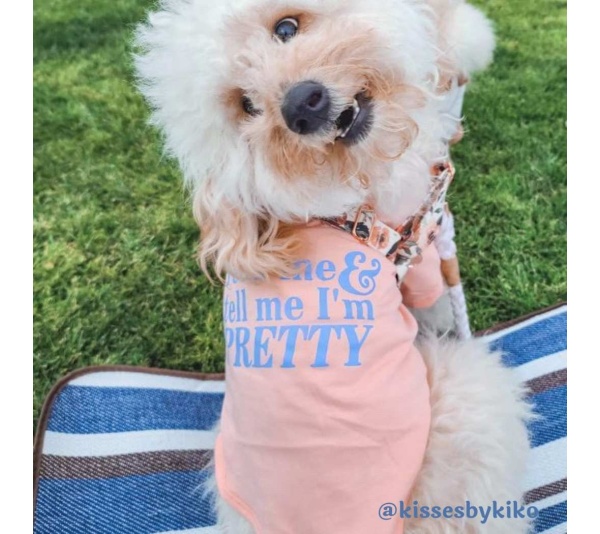 Lemonade - The Essential T-Shirt - Feed Me & Tell Me I'm Pretty - X Large