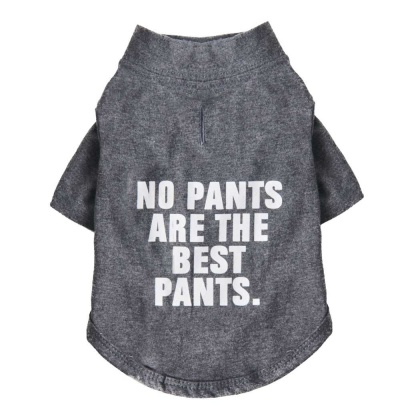 Cool Gray - The Essential T-Shirt - No Pants Are The Best Pants - Small