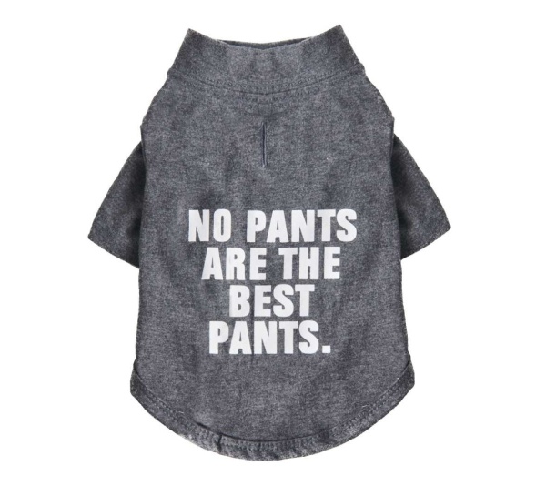 Cool Gray - The Essential T-Shirt - No Pants Are The Best Pants - Small