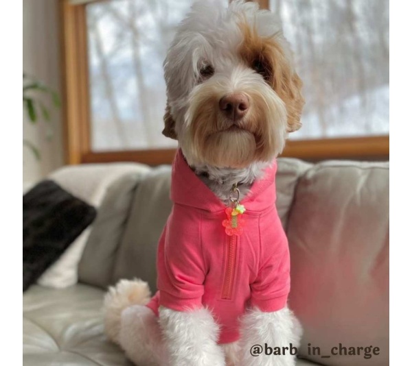 Neon Pink - The Everyday Hoodie - CUTE AF - X Large