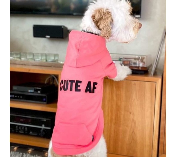 Neon Pink - The Everyday Hoodie - CUTE AF - X Large