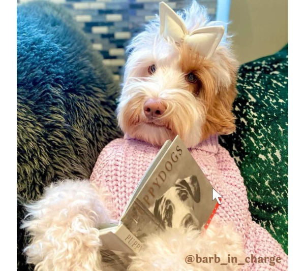 Lilac - The Perfect Knit Sweater, Turtleneck - Large