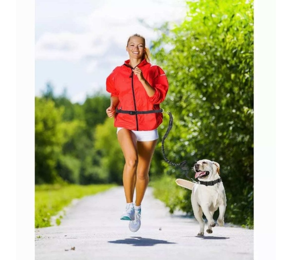 Black - JESPET Hands Free Dog Leash for Running, Walking, Hiking Jogging for Medium & Large Dogs up to 150lbs, Durable Dual Handle Waist Leash with Reflective Bungee and Adjustable Waist - 1'' x 48''