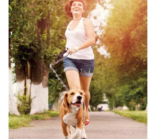 Black - JESPET Hands Free Dog Leash for Running, Walking, Hiking Jogging for Medium & Large Dogs up to 150lbs, Durable Dual Handle Waist Leash with Reflective Bungee and Adjustable Waist - 1'' x 48''