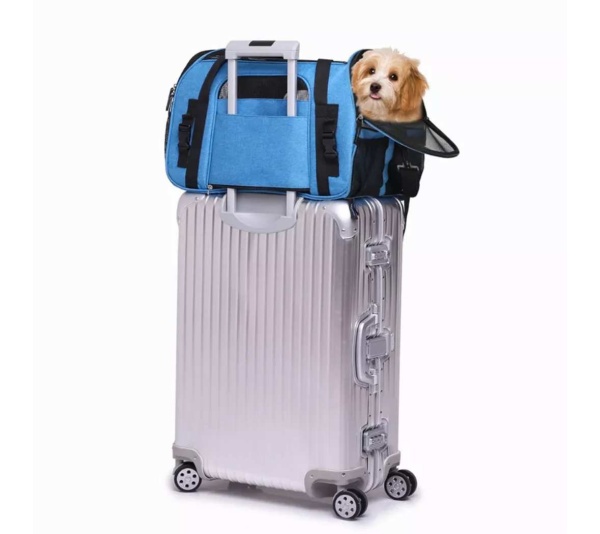 Turquoise Blue - JESPET Soft-Sided Kennel Pet Carrier for Small Dogs, Cats, Puppy, Airline Approved Cat Carriers Dog Carrier Collapsible, Travel Handbag & Car Seat - 19" x 10" x 13"