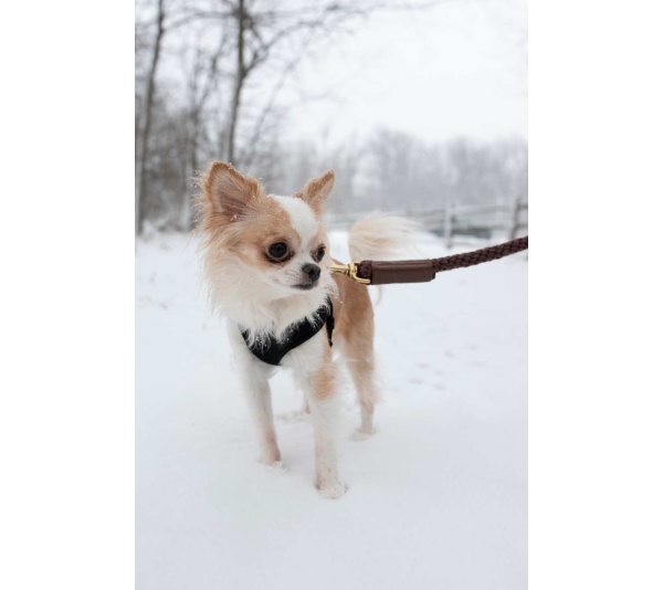 Cream - Shearling Fur Grip