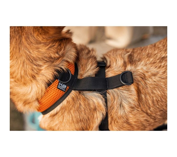 Sunset Orange - K9 Sport Harness - Large (17-19" Neck 17-24" Chest)