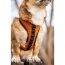 Sunset Orange - K9 Sport Harness - Large (17-19" Neck 17-24" Chest)