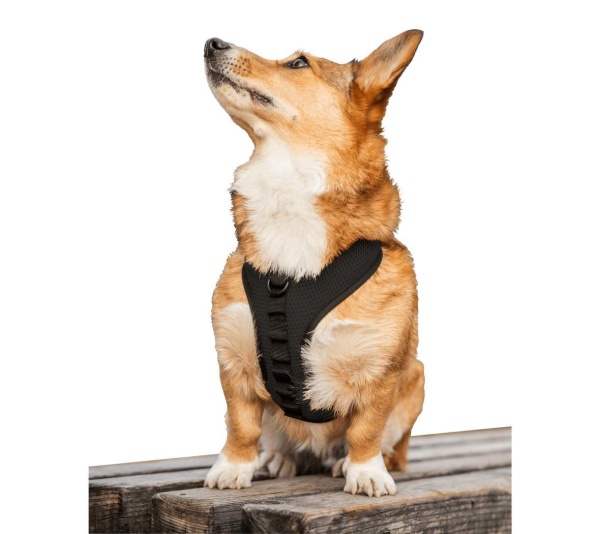 Anthracite Black - K9 Sport Harness - Large (17-19" Neck 17-24" Chest)