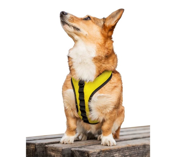 Buttercup Yellow - K9 Sport Harness - Medium (15-17" Neck 15-21" Chest)