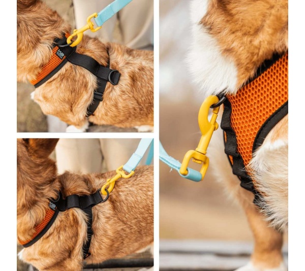 Sunset Orange - K9 Sport Harness - Medium (15-17" Neck 15-21" Chest)