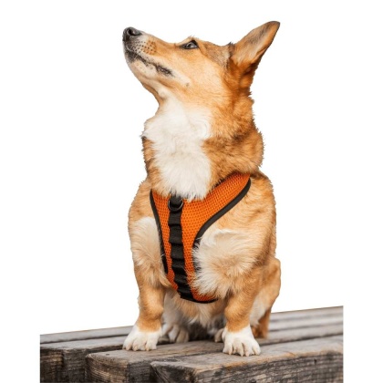 Sunset Orange - K9 Sport Harness - X-Small (11-13" Neck 11-15" Chest)