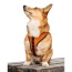 Sunset Orange - K9 Sport Harness - X-Small (11-13" Neck 11-15" Chest)