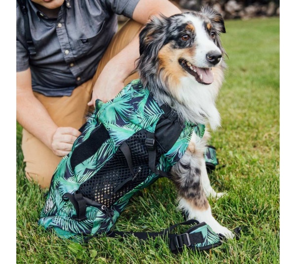 Summer Mint - K9 Sport Sack Air 2 - Large (20"-23" from collar to tail)