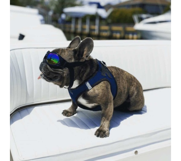 Jet Black - K9 Sport Shades - Dog Goggles