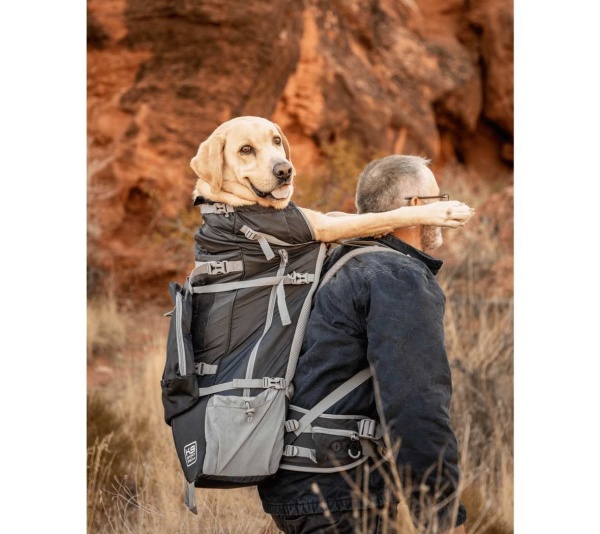 Black - Kolossus | Big Dog Carrier & Backpacking Pack - Large (20"-23" from collar to tail)