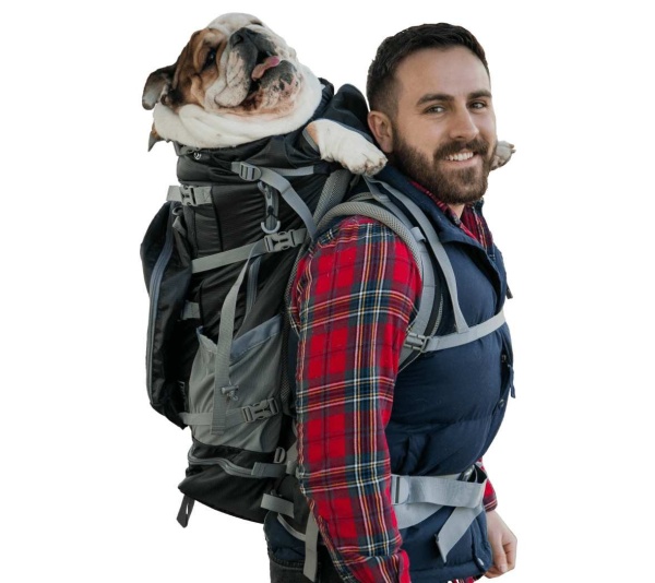 Black - Kolossus | Big Dog Carrier & Backpacking Pack - XX-Large (26"-29" from collar to tail)