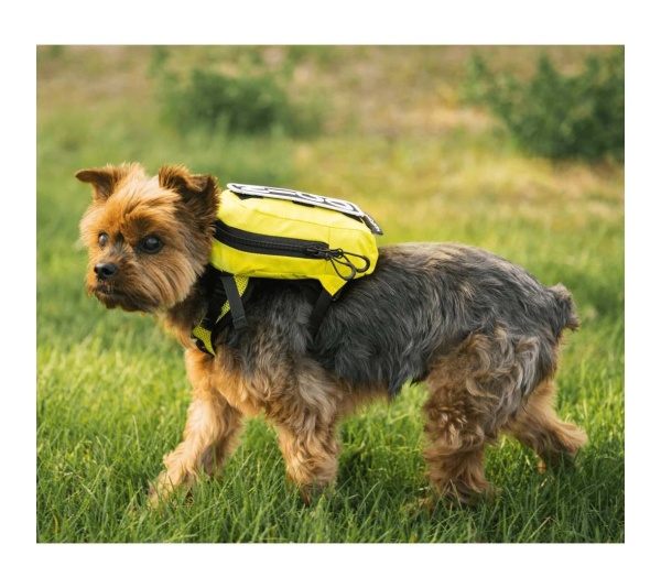 Buttercup Yellow - Walk-On with Harness & Storage - Large (17-19" Neck 17-24" Chest)