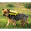 Buttercup Yellow - Walk-On with Harness & Storage - Small (13-15" Neck 13-18" Chest)
