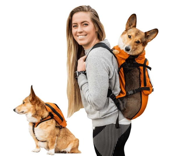 Sunset Orange - Walk-On with Harness & Storage - X-Small (11-13" Neck 11-15" Chest)