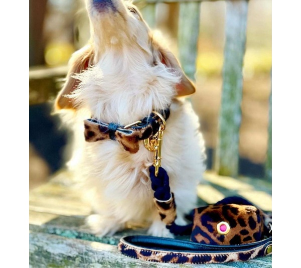 Wildest One - Dog Bow Tie  - Large