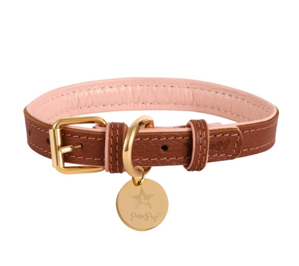 Bella Rose - Dog Collar  - XL