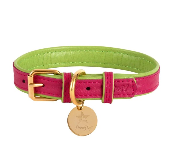 Candy Swirl - Dog Collar  - Large