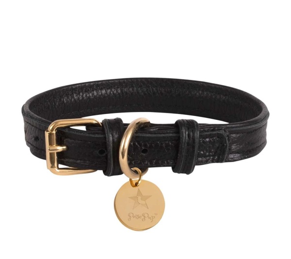 Dark Night - Dog Collar  - Medium