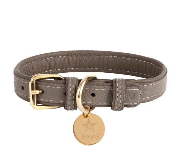 Desert Mint - Dog Collar  - Small