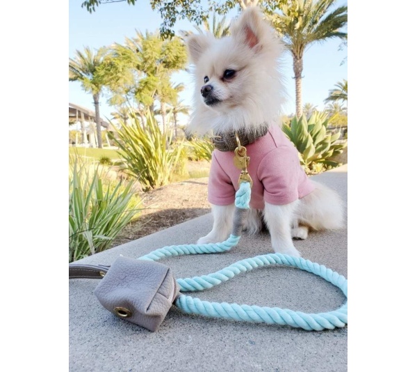 Desert Mint - Dog Collar  - XL