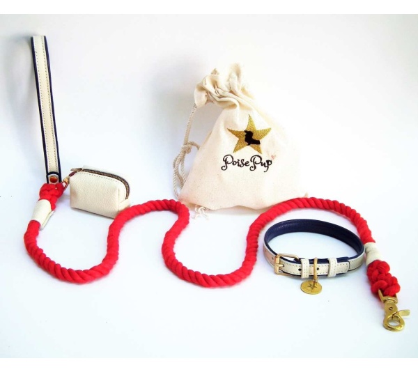 Hot Marine - Dog Collar  - Large