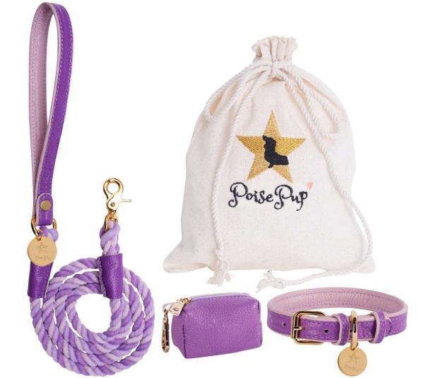 Lavish Lavender - Dog Collar  - Medium