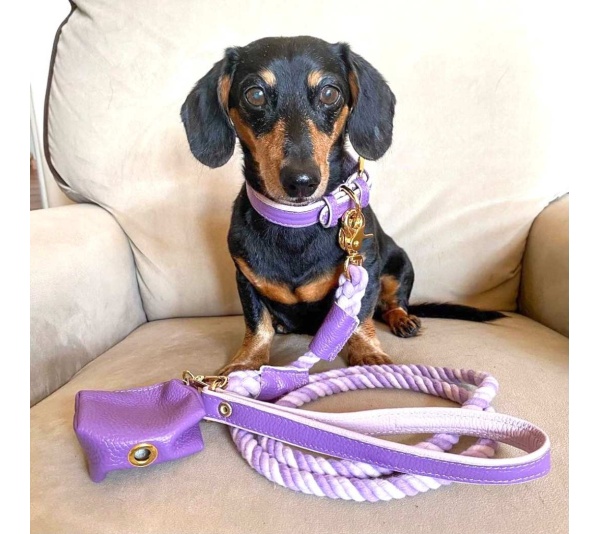 Lavish Lavender - Dog Collar  - Medium