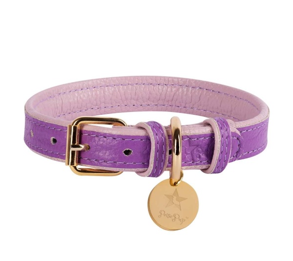 Lavish Lavender - Dog Collar  - XL