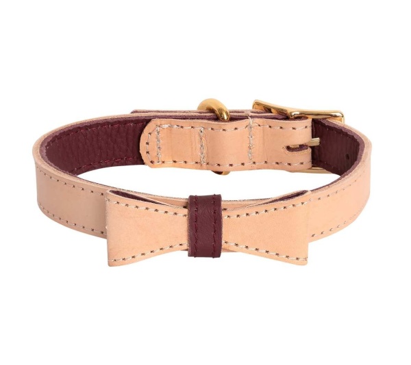 Luscious Bow - Dog Collar  - Large