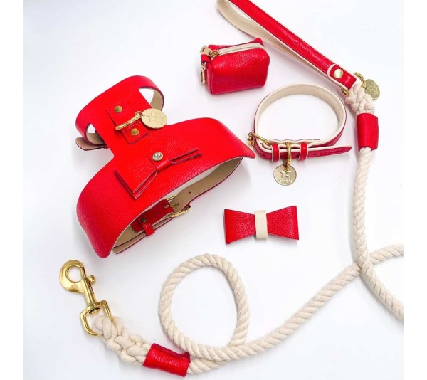 Melting Hearts - Dog Harness  - Small