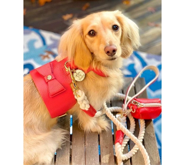 Melting Hearts - Dog Harness  - Medium