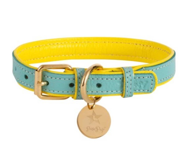Sunshine Babe - Dog Collar  - Large