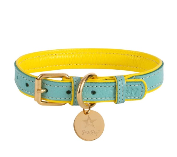 Sunshine Babe - Dog Collar  - Small