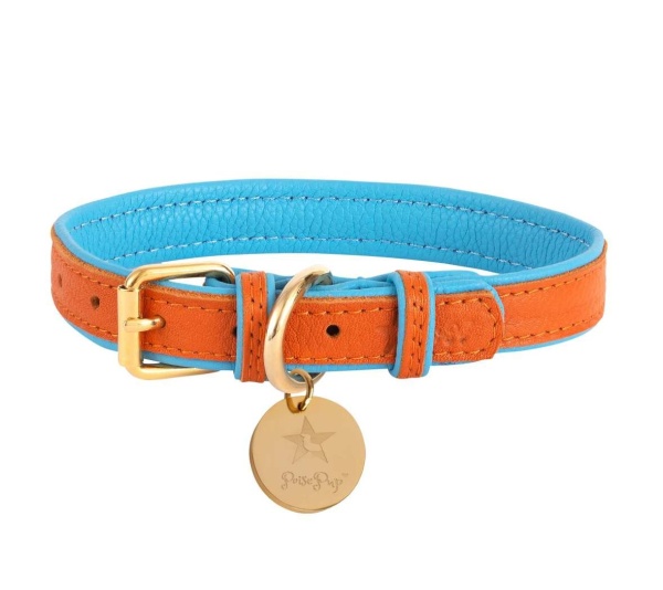 Vibrant Sunset - Dog Collar  - XL