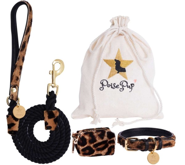 Wildest One - Dog Collar  - Large